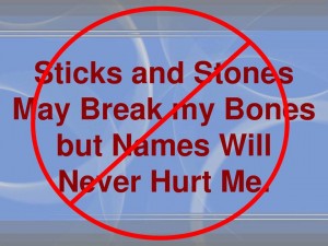 Sticks&Stones