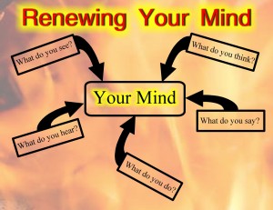 RenewYourMind