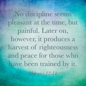 DisciplineHebrews12-11